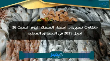 «تفاوت نسبي».. أسعار السمك اليوم السبت 26 أبريل 2025 في الأسواق المحلية